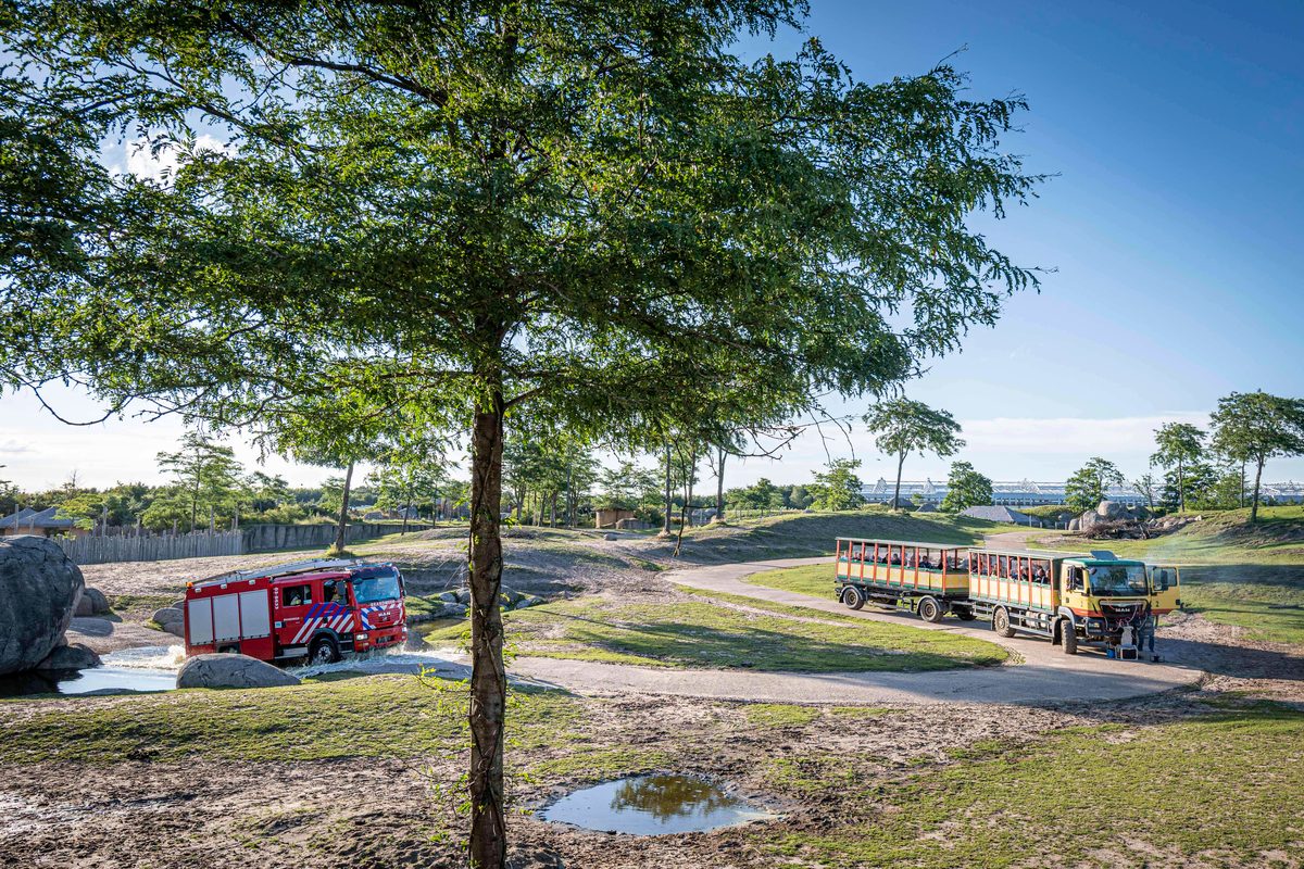 In een safari-truck is brand uitgebroken, midden in het verblijf met wilde dieren. Dat is het scenario van een grootscheepse oefening tussen het Noodhulpteam van het Rode Kruis, de brandweer en de BHV-organisatie van dierenpark Wildlands. Tientallen gewonden moesten door de hulpdiensten worden opgevangen en behandeld.