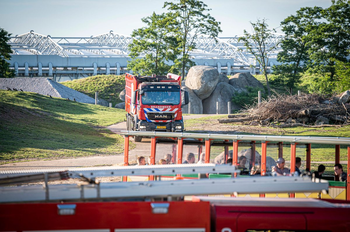 In een safari-truck is brand uitgebroken, midden in het verblijf met wilde dieren. Dat is het scenario van een grootscheepse oefening tussen het Noodhulpteam van het Rode Kruis, de brandweer en de BHV-organisatie van dierenpark Wildlands. Tientallen gewonden moesten door de hulpdiensten worden opgevangen en behandeld.