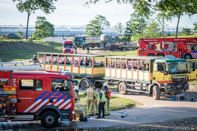 In een safari-truck is brand uitgebroken, midden in het verblijf met wilde dieren. Dat is het scenario van een grootscheepse oefening tussen het Noodhulpteam van het Rode Kruis, de brandweer en de BHV-organisatie van dierenpark Wildlands. Tientallen gewonden moesten door de hulpdiensten worden opgevangen en behandeld.