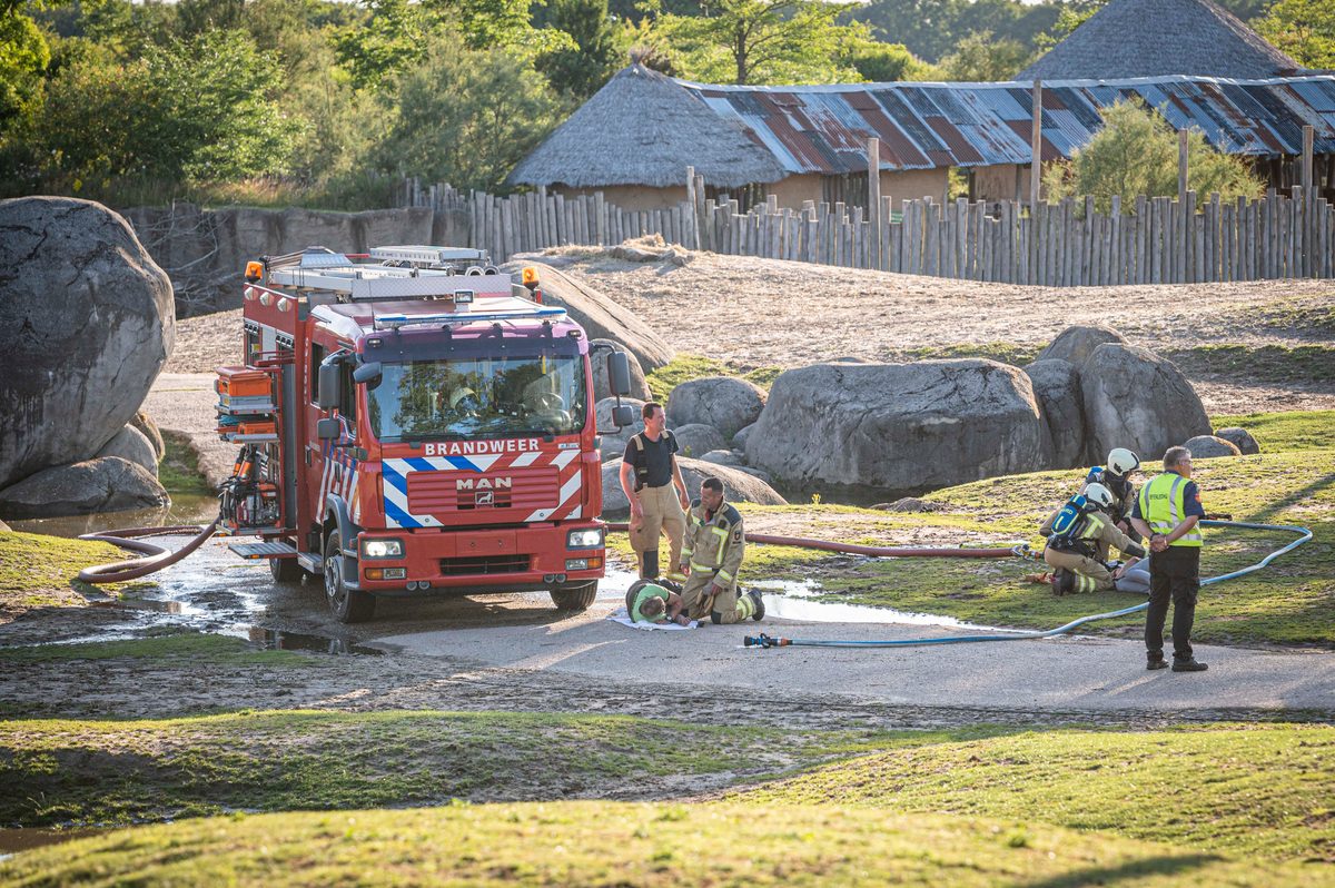 In een safari-truck is brand uitgebroken, midden in het verblijf met wilde dieren. Dat is het scenario van een grootscheepse oefening tussen het Noodhulpteam van het Rode Kruis, de brandweer en de BHV-organisatie van dierenpark Wildlands. Tientallen gewonden moesten door de hulpdiensten worden opgevangen en behandeld.