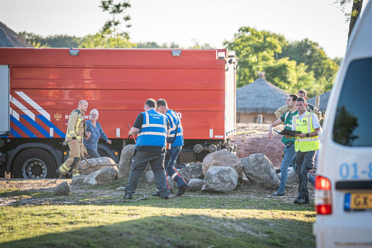 In een safari-truck is brand uitgebroken, midden in het verblijf met wilde dieren. Dat is het scenario van een grootscheepse oefening tussen het Noodhulpteam van het Rode Kruis, de brandweer en de BHV-organisatie van dierenpark Wildlands. Tientallen gewonden moesten door de hulpdiensten worden opgevangen en behandeld.